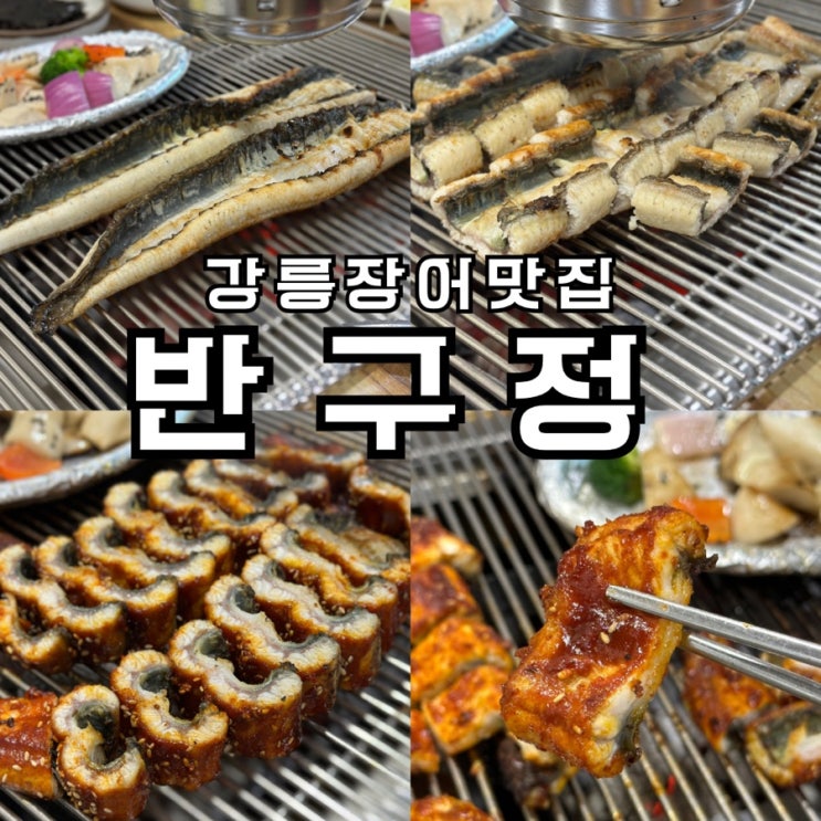  강릉 장어 맛집 반구정참숯민물장어 현지인이 추천하는 강릉 보양식