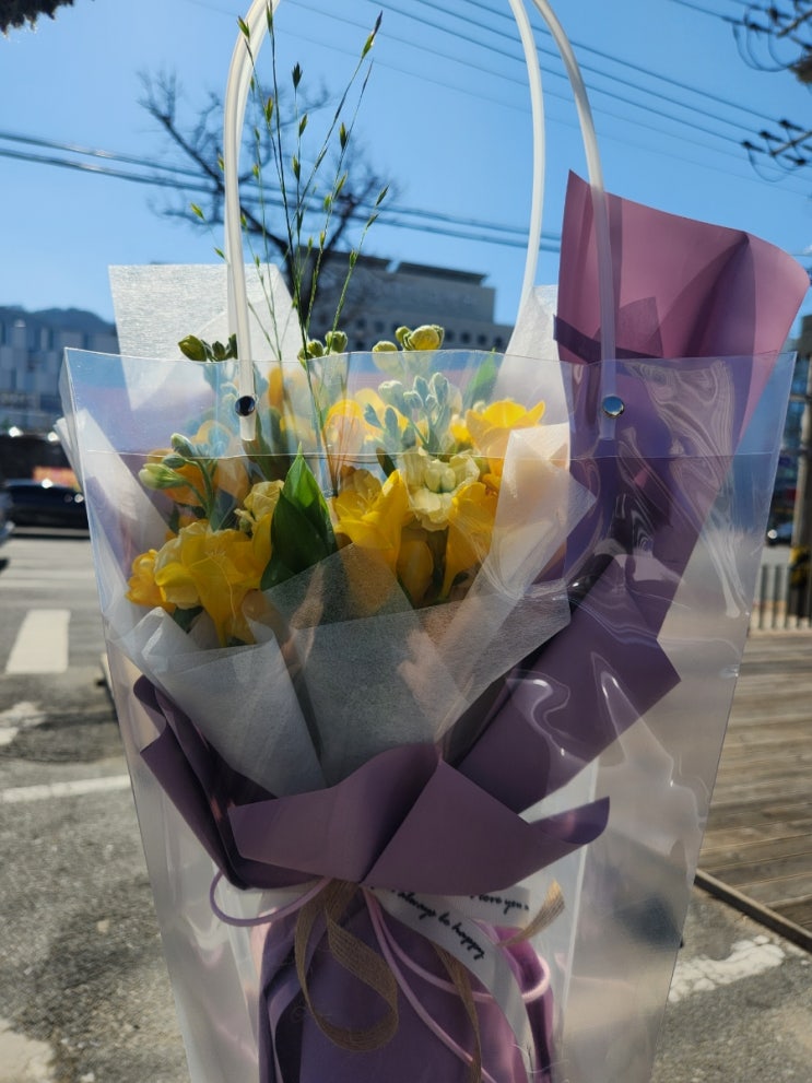 국가건강검진 위내시경에서 위선종 고등급 제거까지 후기