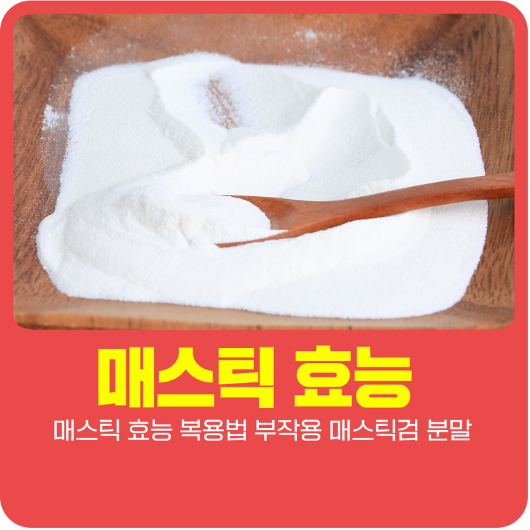  매스틱 효능 복용법 부작용 매스틱검 분말