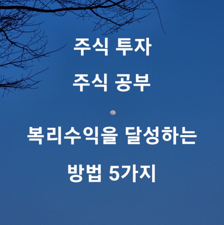  주식투자 주식공부 복리수익을 달성하는 방법 5가지