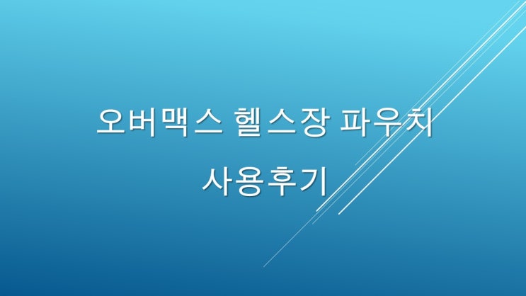  헬스장 가방, 오버맥스 마그넷 파우치 사용 후기