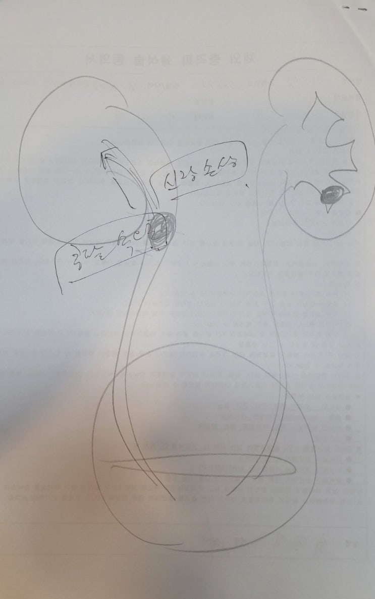  통증으로 응급실 후 요로결석 24시간 하는곳으로 오셨습니다.