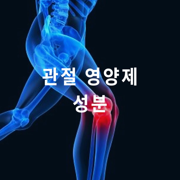  관절 영양제 성분 3가지 : 뉴질랜드 초록입홍합, 콘드로이친 황산, 엠에스엠 MSM