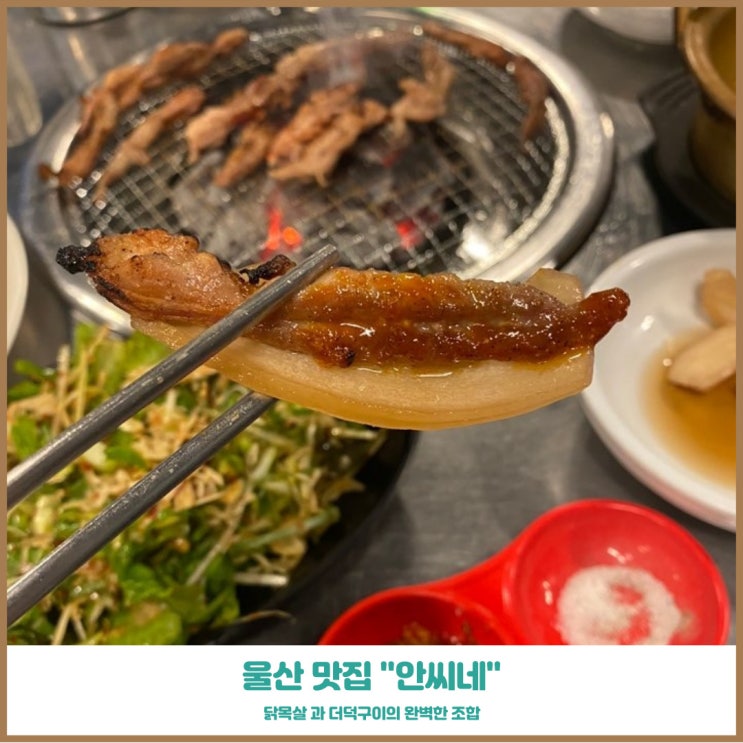  울산남구맛집 닭목살구이 안씨네 소주를 부르는그맛