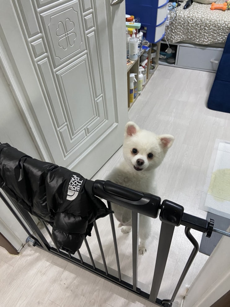  로또네 집