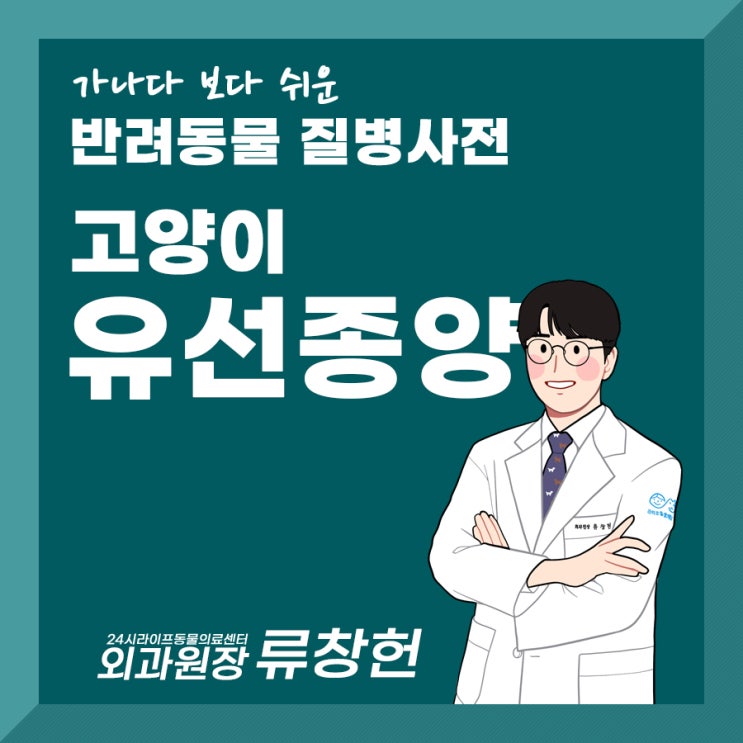 대구 고양이동물병원 : 고양이 3대 암, 고양이 유선종양 알아보기