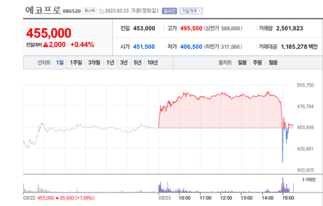 “주가 이해하길 포기했다”...사상 최고가 찍고 17% 급락 에코프로