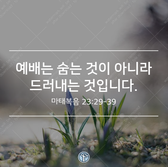  예배는 숨는 것이 아니라 드러내는 것입니다. / 마 23:29-39