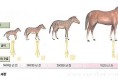 영어 토익 TOEIC L/C 빈출문장 100선 영어 토익 TOEIC L/C 빈출문장 100선