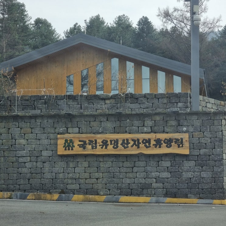  [3월의 숲캉스] 가평 국립유명산자연휴양림
