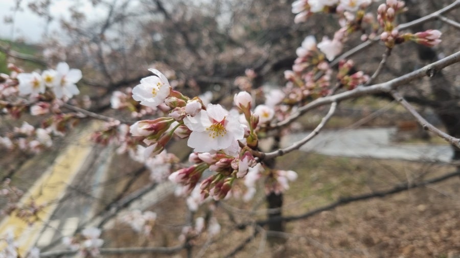 싸릿골 사진 2