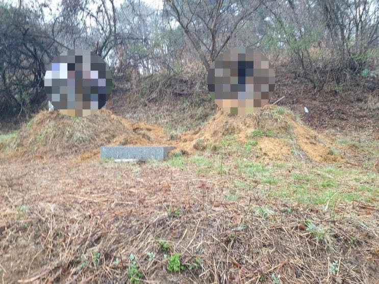  2023년 김천시 문당동 수목장안치 고인돌장묘개발 장의사 #2023년윤달 #윤달 #윤달이장 #윤달화장 #김천윤달이장 #김천윤달화장 #김천장의사 #구미장의사 #선산장의사 #상주장의사