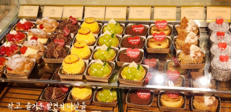 대전 성심당 케이크부티크 퓨어마들렌 심플리뷰