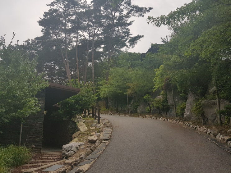  하나고 이야기