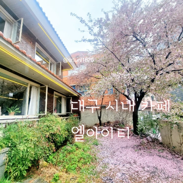  [카페] '23. 3월 23일 대구 시내 삼덕동 가구 쇼룸 & 벚꽃 뷰 카페 엘아이티