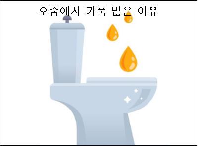  오줌에서 거품 많은 이유