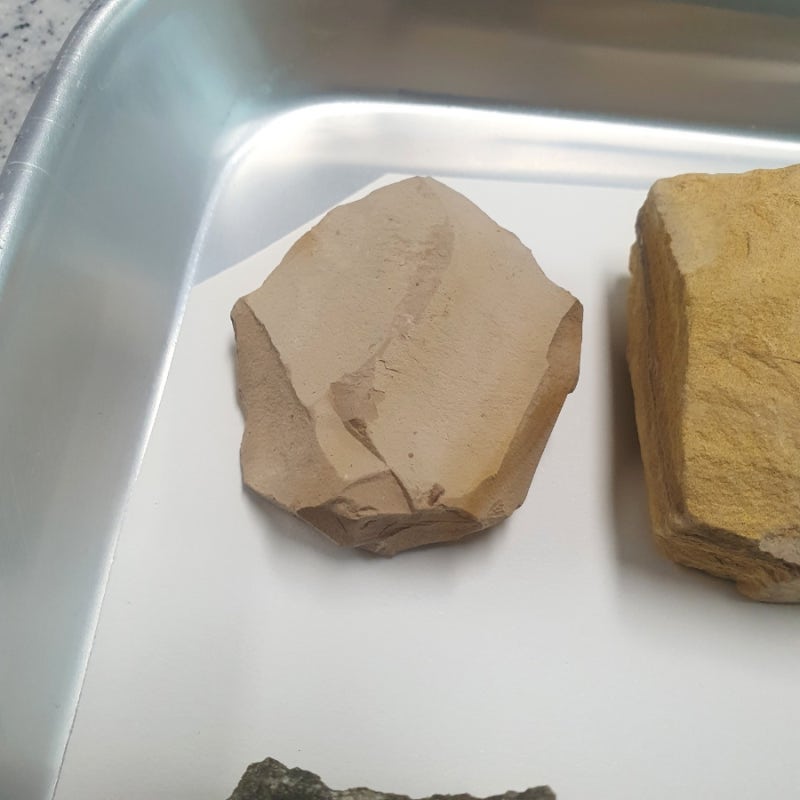 [4학년 1학기 2단원 지층과 화석] 여러 가지 퇴적암 관찰하기 - 이암, 사암, 역암 : 네이버 블로그