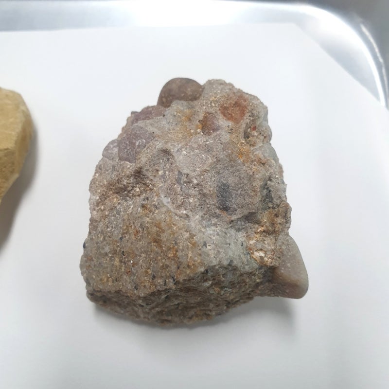 [4학년 1학기 2단원 지층과 화석] 여러 가지 퇴적암 관찰하기 - 이암, 사암, 역암 : 네이버 블로그