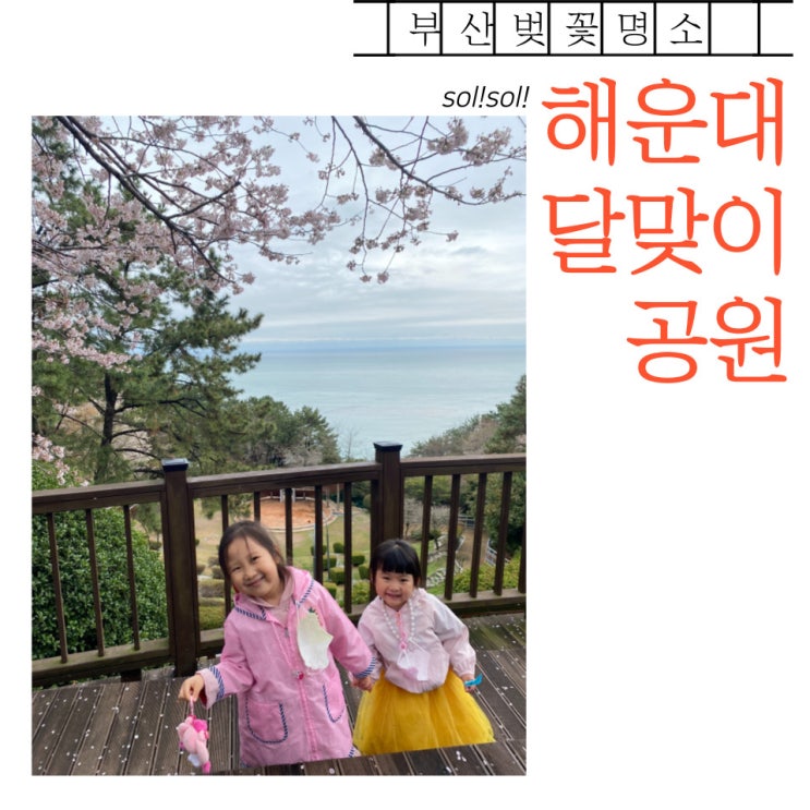  부산 해운대 예쁜 벚꽃길 추천!  - 해운대 달맞이공원. 대천공원, 대우마리나2차 아파트