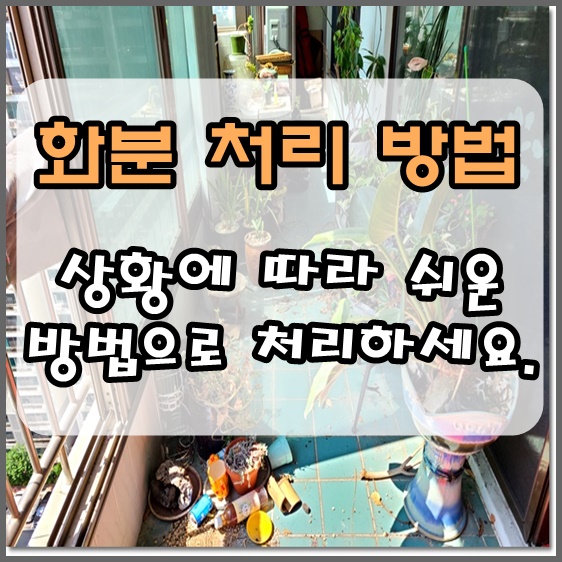  화분버리는 3가지 방법 및 처리 할 때의 주의점 알려드려요!