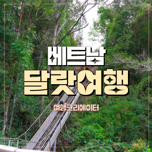  베트남 달랏 베스트여행지, 꼭 가볼만 한 곳 추천! 다딴라폭포 , 액티비티 알파인코스터