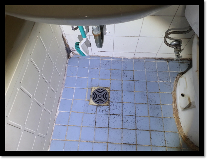 오래된 노후 아파트 화장실 물안내려감 바닥 배관뚫기 인천 서울