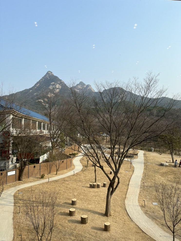  세무기장 - 접대비
