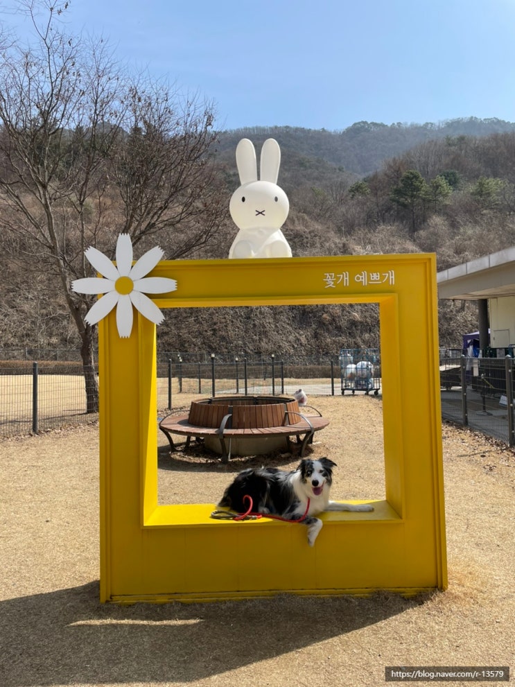  반려견 운동장이 있는 가평휴게소(춘천방향, 서울방향) 후기
