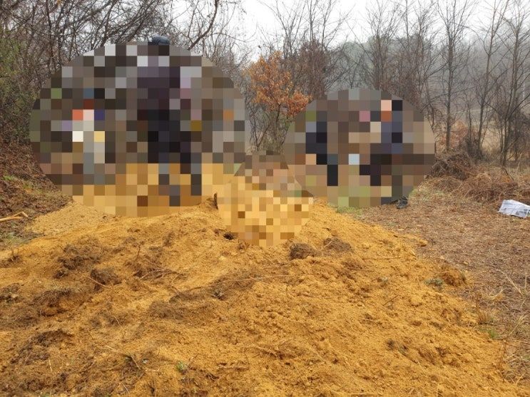  2023년 상주시 공검면 양정리 수목장안치 고인돌장묘개발장의사 #2023년윤달 #윤달 #윤달이장 #윤달화장 #김천윤달 #구미윤달 #상주윤달 #성주윤달 #선산윤달 #상주장의사