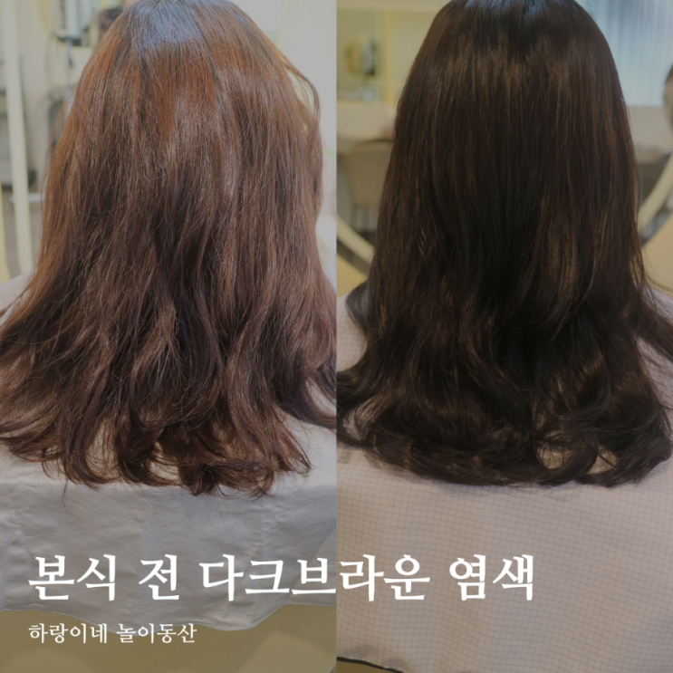  구리시 미용실 브래뉴헤어 구리점 다크브라운 본식 염색