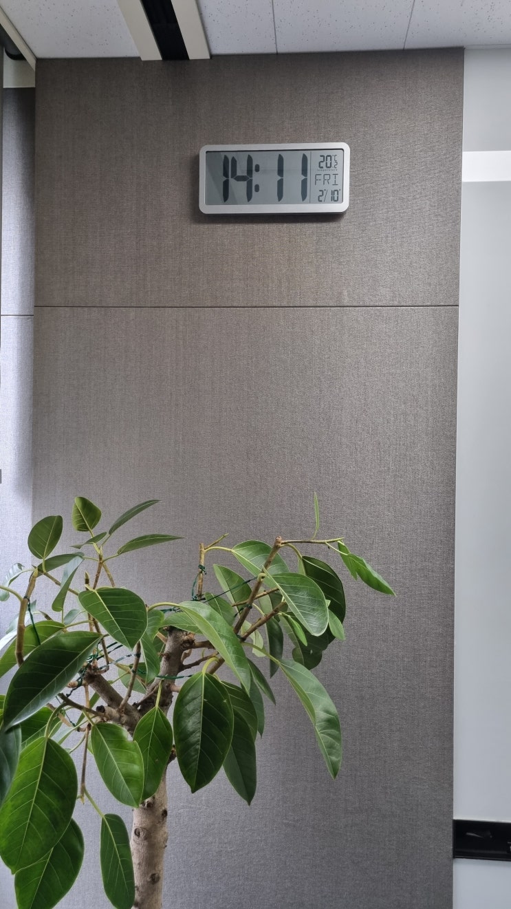 [리뷰] 사무실 회의실용 벽시계 "무선 벽걸이 디지털 시계" 구매 및 개봉기!