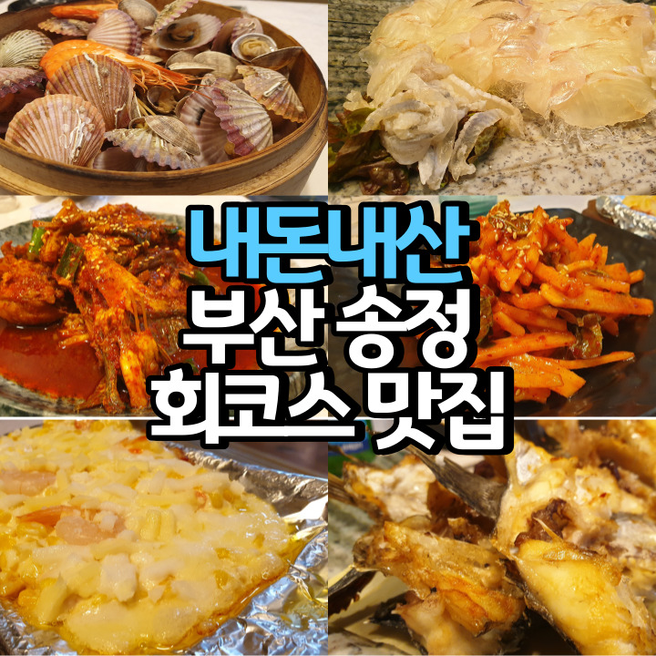 부산 송정 맛집 등대횟집의 B코스 (내돈내산)