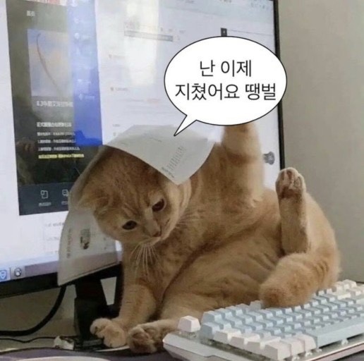  어디에 있든 지금 있는 곳에서 행복해지기