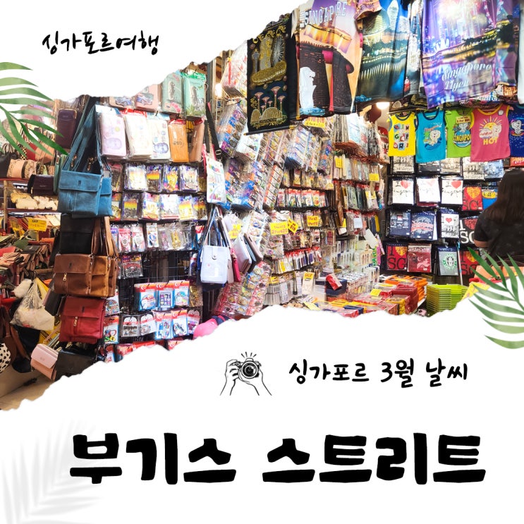 싱가포르 여행 3월 날씨 가볼만한곳 부기스 스트리트