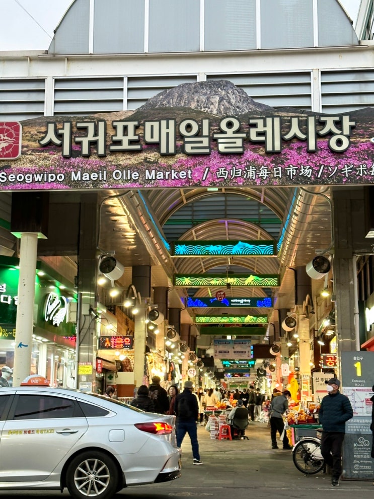  올레시장 주차장 서귀포 여행 필수코스 방문전 꼭 알아둬야할 꿀팁