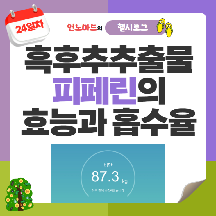  24일차, 흑후추추출물 피페린의 효능과 흡수율
