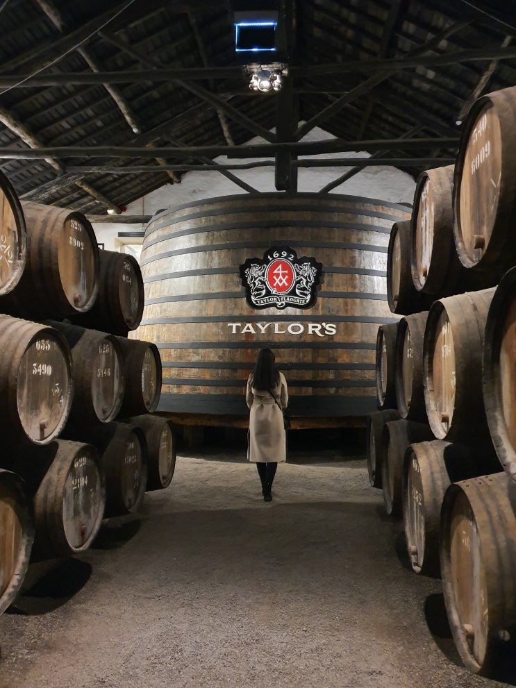 {포르투갈} 포르투(Porto)여행- Taylor's 테일러 와이너리 예약방법 링크/ 한국어오디오/ 와인테이스팅/ 입장료/ 빈티지포트와인