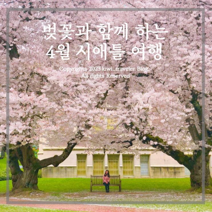  4월 시애틀 여행  - 날씨 벚꽃명소 가볼만한곳