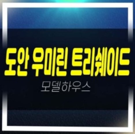  도안 우미린 트리쉐이드 용계동 미분양아파트 분양단지현황 평형대 학군입지 시세 분양가격 우미건설 샘플하우스 현장 예약소식!