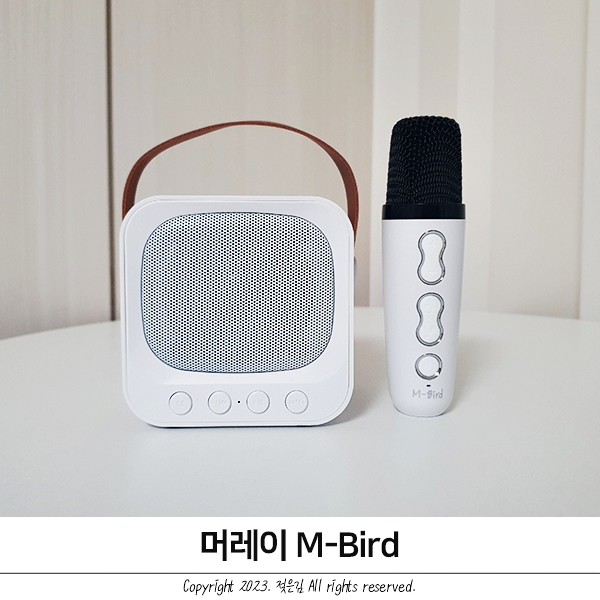 머레이 블루투스노래방마이크로 집노래방 즐기기 머레이 블루투스노래방마이크로 집노래방 즐기기