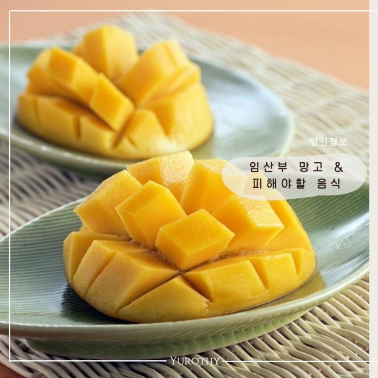  임신중 망고 먹어도 될까요?｜효능과 주의사항, 임산부가 가장 피해야 할 음식은?