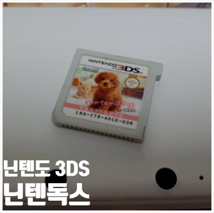  닌텐독스 플러스 캣츠 3DS 힐링게임