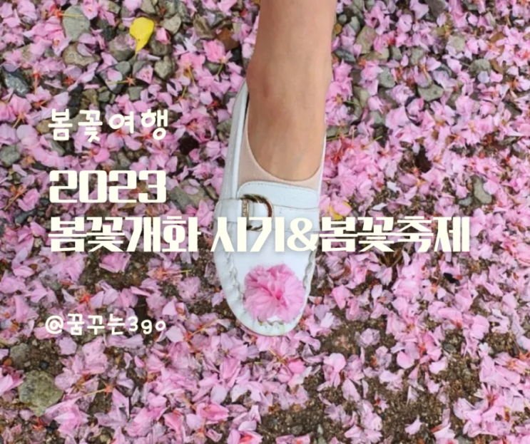  2023 개나리 벚꽃 개화시기 꽃 나들이 떠날 지도