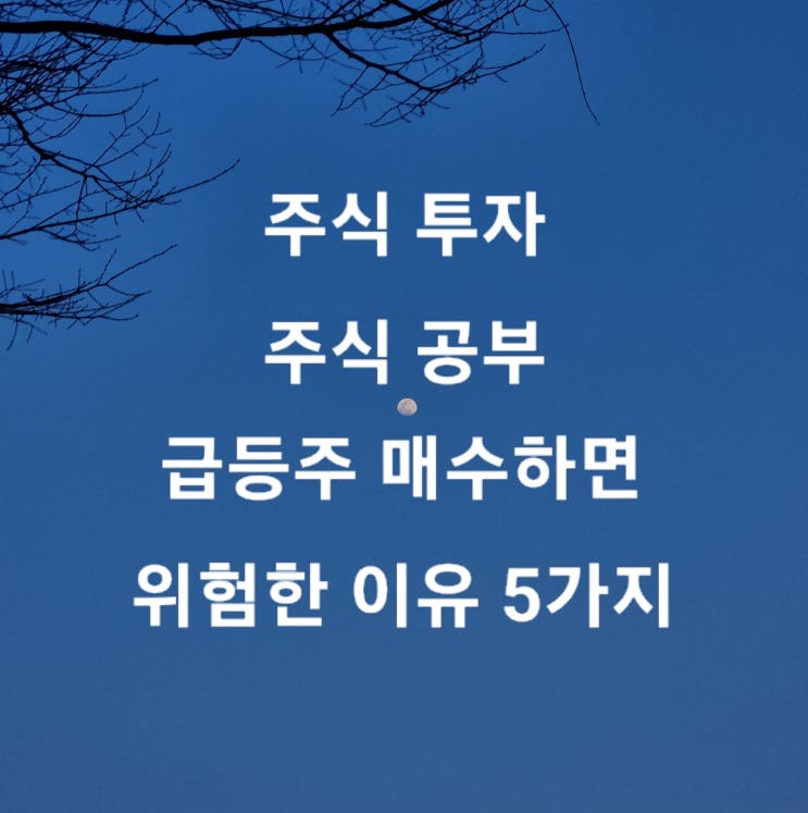  주식 투자 주식 공부 급등주 매수하면 위험한 이유 5가지