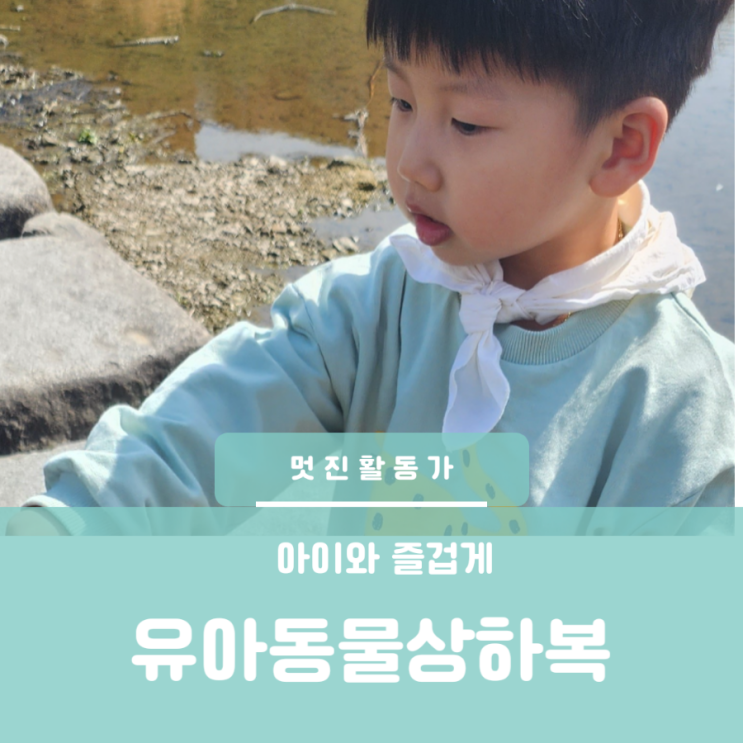 유아상하복 세트 가성비 짱 최고 어린이집 등원룩 유아 편한 상하복 트레이닝 세트 재규어 동물 상하복 유아상하복 세트 가성비 짱 최고 어린이집 등원룩 유아 편한 상하복 트레이닝 세트 재규어 동물 상하복