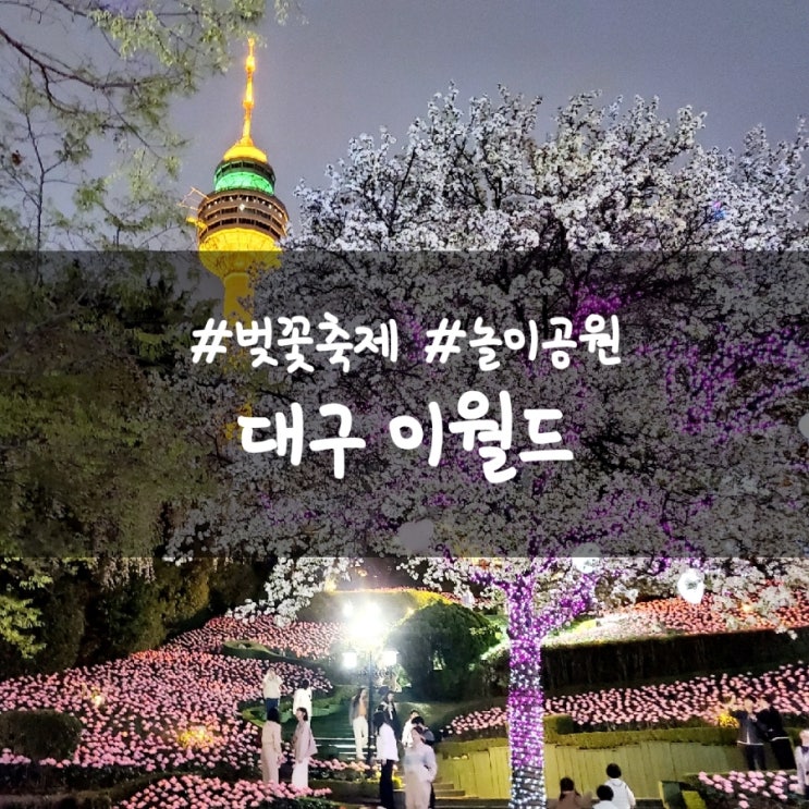  이월드 가이드맵, 주차, 포토존, 벚꽃 상황