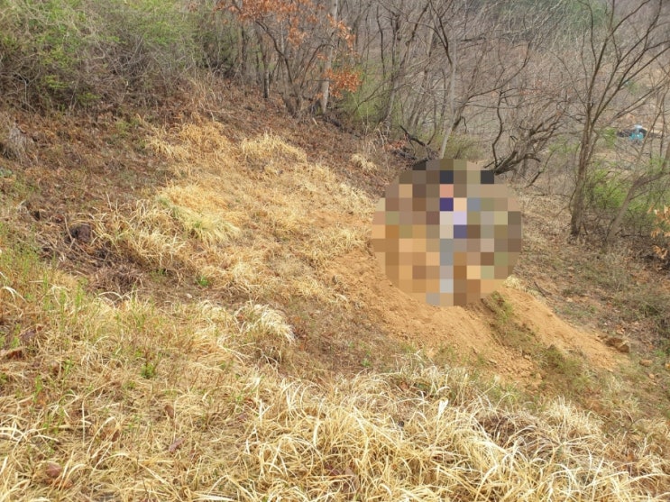 2023년 김천시 조마면 신곡리 납골당안치 김천고인돌장의사 #2023년윤달 #윤달 #윤달이장 #윤달화장 #김천윤달이장 #김천윤달화장 #김천장의사 #구미장의사 #선산장의사