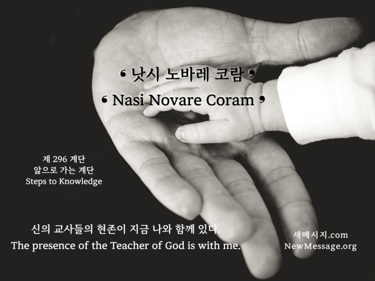 제 296 계단 : 낫시 노바레 코람 Nasi Novare Coram 제 296 계단 : 낫시 노바레 코람 Nasi Novare Coram