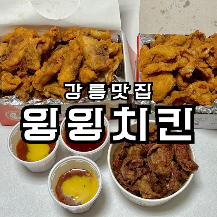  강릉 윙윙치킨 현지인 추천 옛날 치킨 맛집 닭껍질튀김 닭똥집