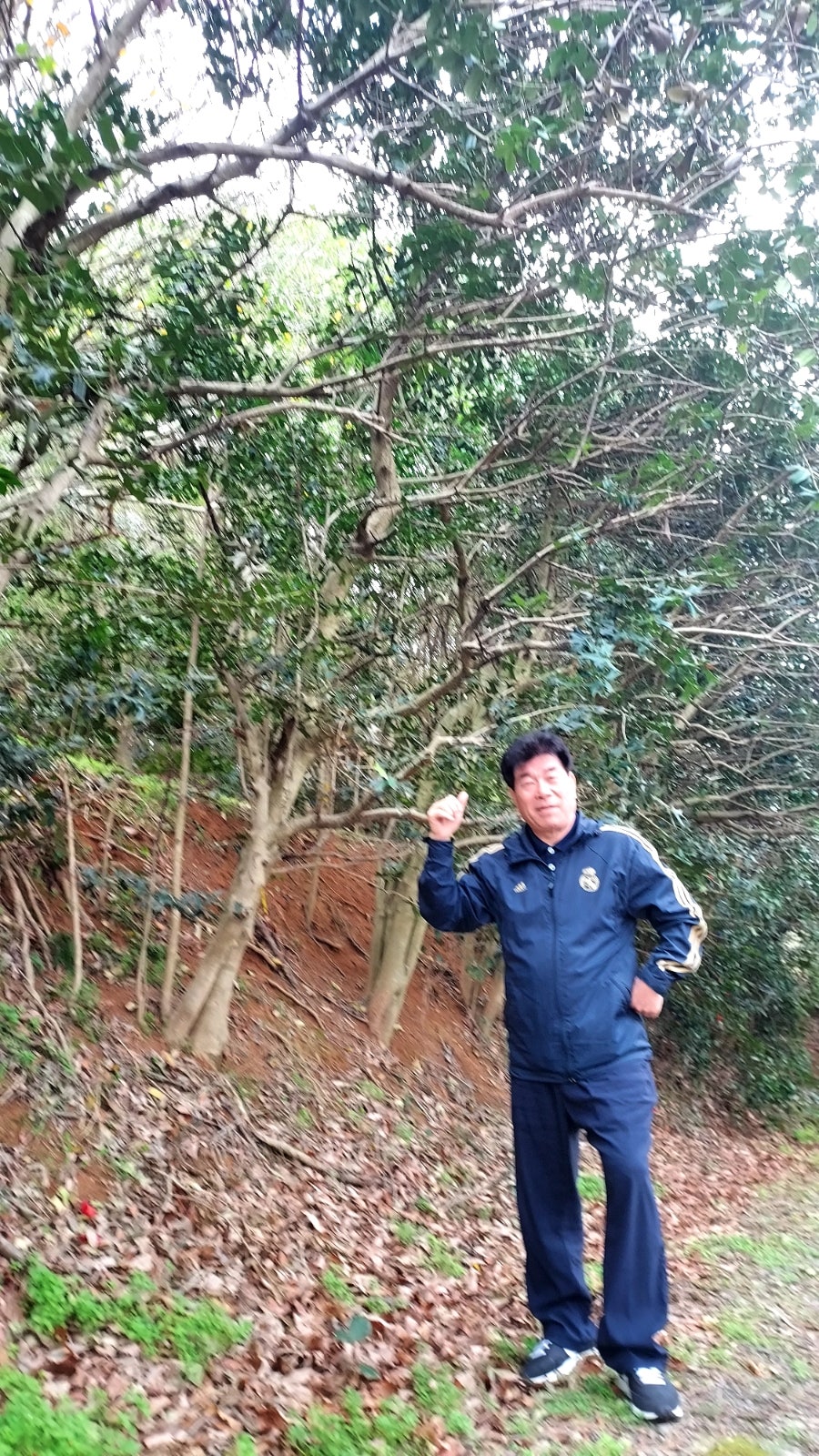 곤봉수목원 사진 5